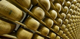 Parmigiano Reggiano, nel primo semestre vendite +2,4%, export +1,6%