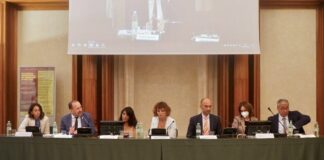 Il gas naturale necessario per gestire la transizione