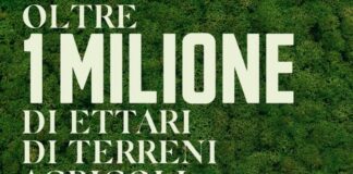 Ferrero, a grandi passi verso gli obiettivi di sostenibilità