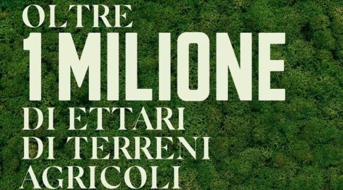 Ferrero, a grandi passi verso gli obiettivi di sostenibilità