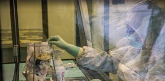 Record Veneto per uso monoclonali, Zaia “Orgogliosi vite salvate”