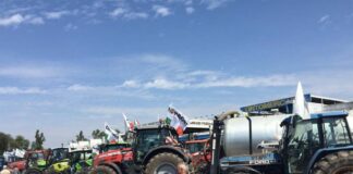 Lombardia, centinaia di trattori a Milano e a Brescia contro crisi