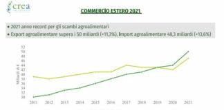 Agroalimentare, nel 2021 l’export supera i 50 miliardi