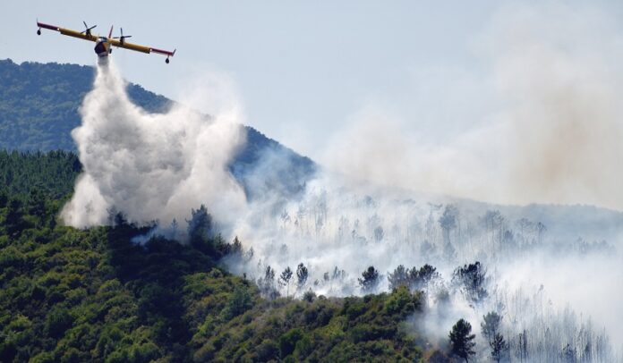 Taggia: vasto incendio in valle Argentina, colonna di fumo visibile a chilometri di distanza