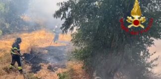 Sicilia prima regione per incendi, 6.534 interventi dei vigili del fuoco
