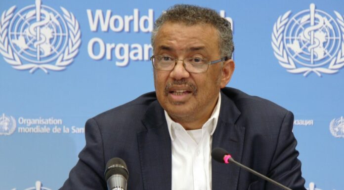 Vaiolo delle scimmie, Oms dichiara emergenza globale, in Italia 407 casi