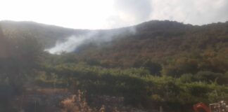 Incendi, Zaia “Preoccupa situazione Veneto. Raccomando massima prudenza”