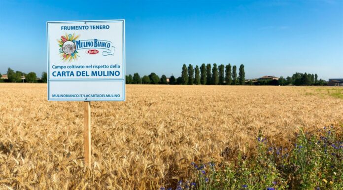 Barilla, continua a crescere l’impegno per la sostenibilità