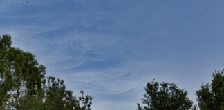 Vincenzi “Avviato iter per Piano Parco naturale dei Monti Lucretili”