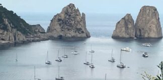Marevivo “A Capri e Anacapri un passo verso l’Area Marina Protetta”