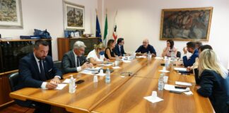 Energia, Pili e Lampis “Incontro costruttivo con ministro Cingolani”