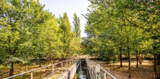 Siccità, Si userà acqua depurata per innaffiare il Parco Nord Milano