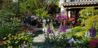 Giardini da sogno: come realizzarli giardini da sogno