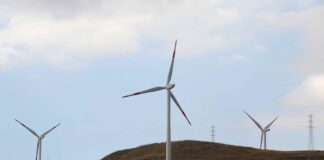Sardegna, Consiglio regionale approva Odg per moratoria pale eoliche