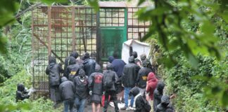 Scontri No-Tav in Val di Susa, 14 persone ferite