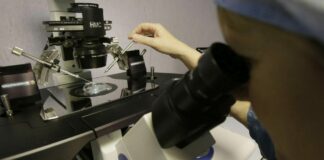 Malta, approvato un controverso disegno di legge sulla fecondazione in vitro