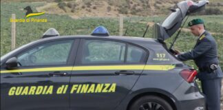 Frode all’Ue, sequestrati 700 mila euro ad azienda ittica nel messinese