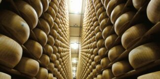 Cresce la produzione di Parmigiano Reggiano in Montagna