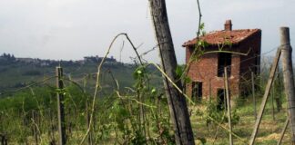 Agricoltura, dalla Regione 350 mila euro per i danni da fauna selvatica