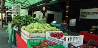 Mercato della frutta sconta aumento di energia e materie prime