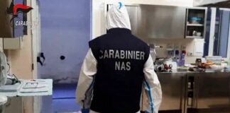 A Ferragosto il 20% delle Rsa irregolari, blatte e operatori ubriachi