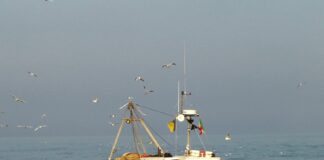 Peschereccio affonda nel vibonese, salvati in mare tre pescatori