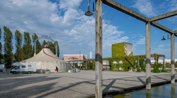 Il Circo acrobatico e artistico al parco della Bissuola di Venezia