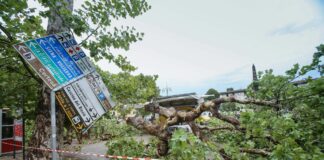 Maltempo, da Intesa Sanpaolo 1 mld a famiglie e imprese colpite