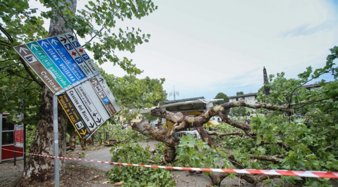 Maltempo, da Intesa Sanpaolo 1 mld a famiglie e imprese colpite