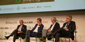 Fs, Ferraris al Meeting di Rimini “2 mld per connettività e digitale”