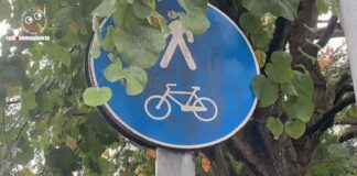 Incidenti domestici e stradali con vittime bambini e adolescenti, come prevenirli