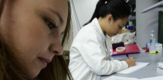 Pnrr, un bando per portare i giovani ricercatori di eccellenza in Italia