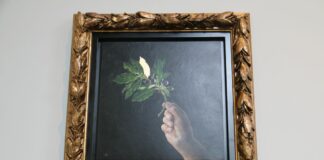 Biennale Arte, oltre centomila visitatori per il Padiglione Venezia