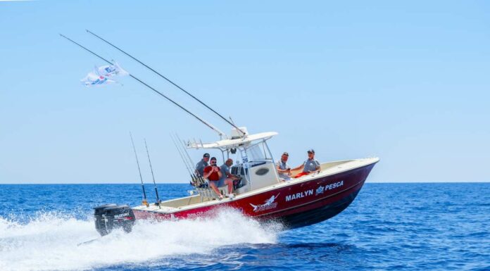 Al via domenica a Pescara il 30° Mondiale di drifting