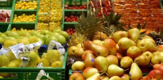 Piemonte, linee guida su educazione al cibo e orientamento ai consumi