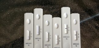 Covid, In Italia 24.855 contagi e 80 decessi