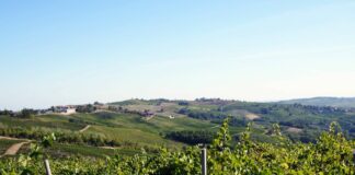 Quasi un miliardo di euro per l’agricoltura dell’Emilia-Romagna