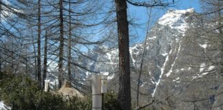 L’impatto dello smog sugli ecosistemi, al via progetto Life Modern Nec