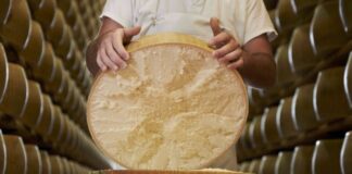 Consorzio Parmigiano Reggiano a Terra Madre Salone del Gusto