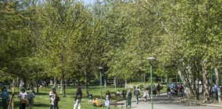 Un bando per la formazione di “Giardiniere d’arte”