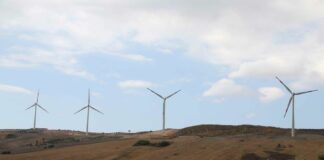 Basilicata, Assessore Latronico inaugura parco eolico a Craco