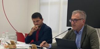 Agricoltura, da Regione azioni di contrasto alla flavescenza dorata