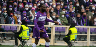 La Fiorentina torna a sorridere, 2-0 al Verona