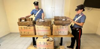 Trasportava in auto 231 chili di hashish, arrestato nel Napoletano un incensurato