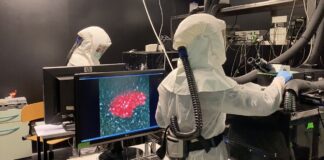 San Raffaele, Superate le 1.000 pubblicazioni scientifiche sul Covid