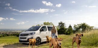 Opel Zafira-e Life, la migliore amica del cane