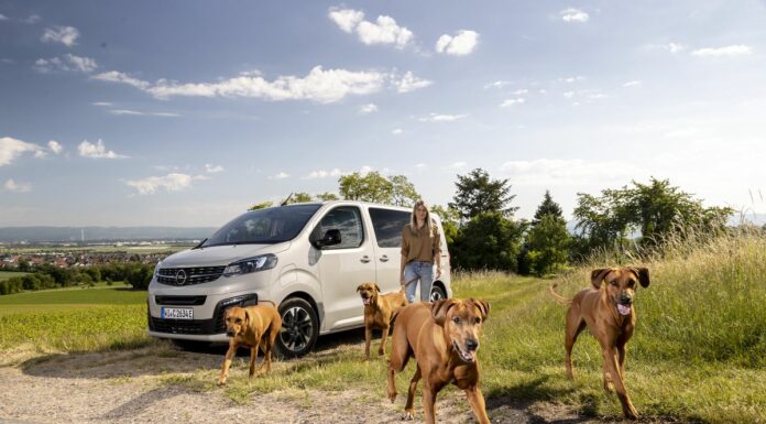 Opel Zafira-e Life, la migliore amica del cane