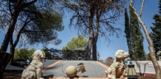 Ok in commissione bilancio a Piano Qualità Aria e pdl cimiteri animali