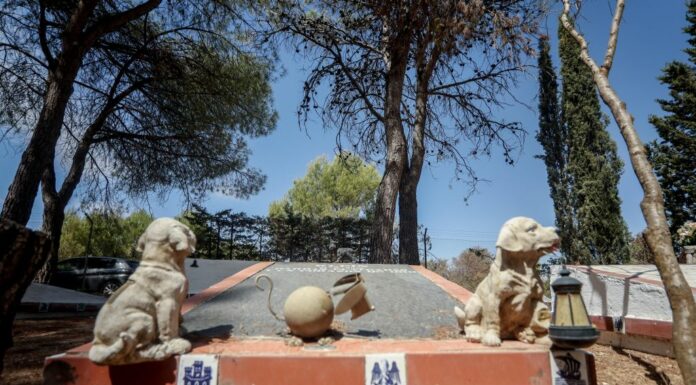 Ok in commissione bilancio a Piano Qualità Aria e pdl cimiteri animali