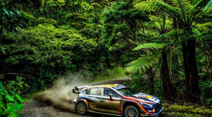 Testoni “In queste superfici meglio approccio cauto e conservativo”